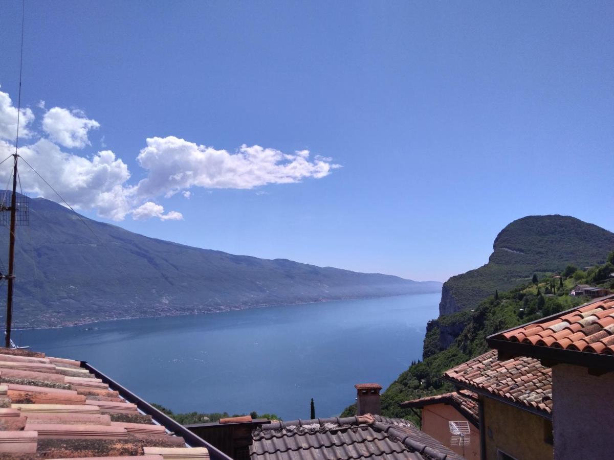 Ferienwohnung Ulivi Sul Garda Garden By Gardadomusmea Tremosine Exterior foto